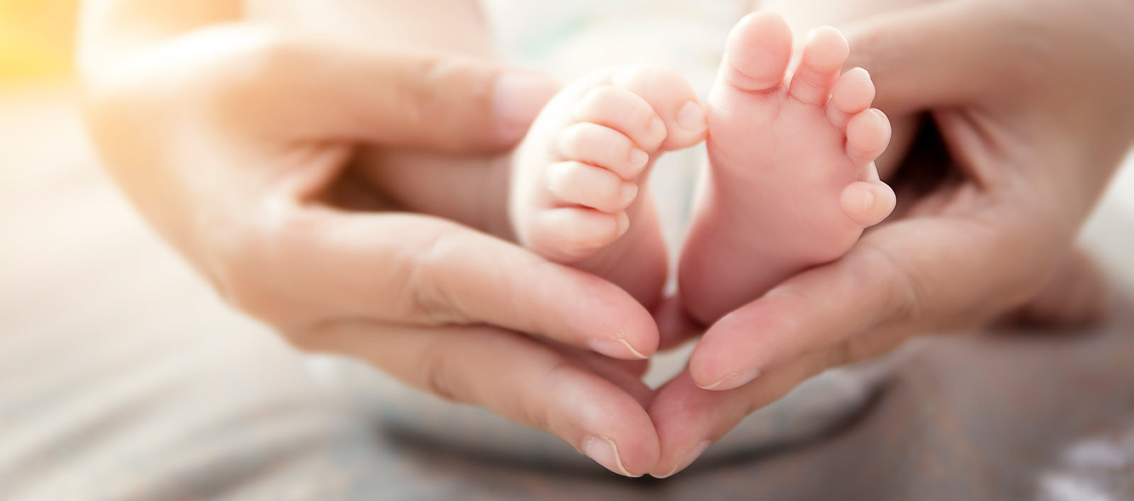 Sari Hands PLC banner