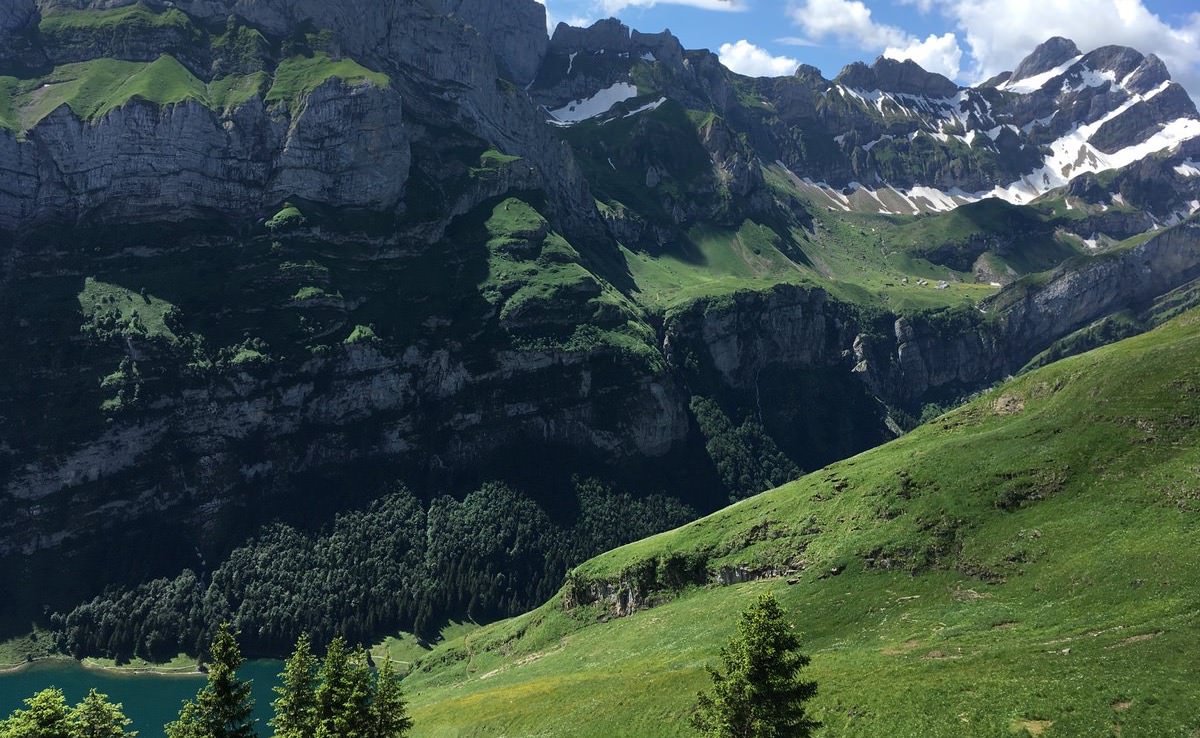 Sari Hands PLC banner