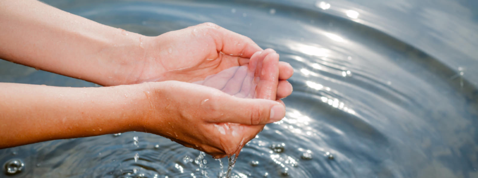 Sari Hands PLC banner